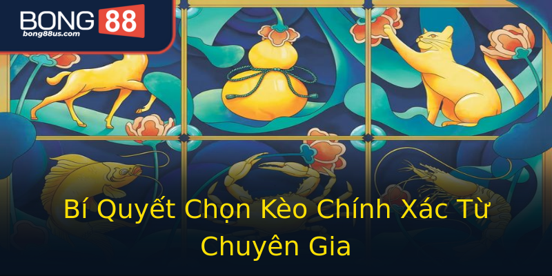 Bí Quyết Chọn Kèo Chính Xác Từ Chuyên Gia Bí Quyết Chọn Kèo Chính Xác Từ Chuyên Gia