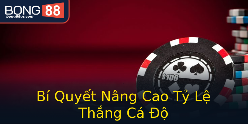 Bí Quyết Nâng Cao Tỷ Lệ Thắng Cá Độ Bí Quyết Nâng Cao Tỷ Lệ Thắng Cá Độ