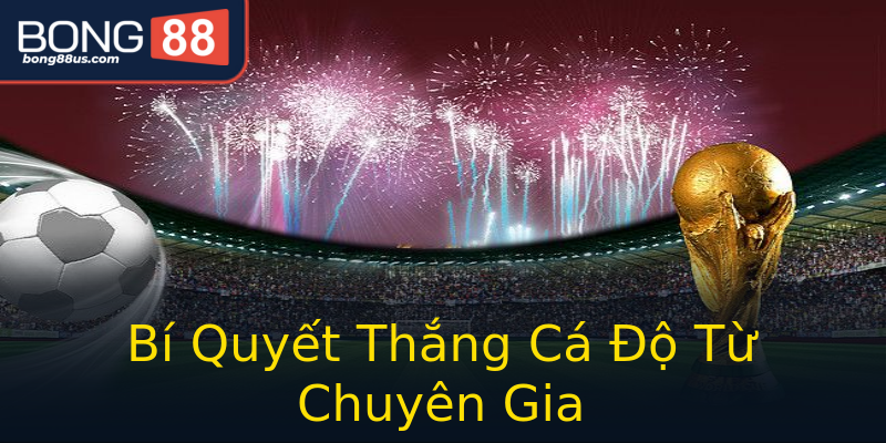 Bí Quyết Thắng Cá Độ Từ Chuyên Gia Bí Quyết Thắng Cá Độ Từ Chuyên Gia