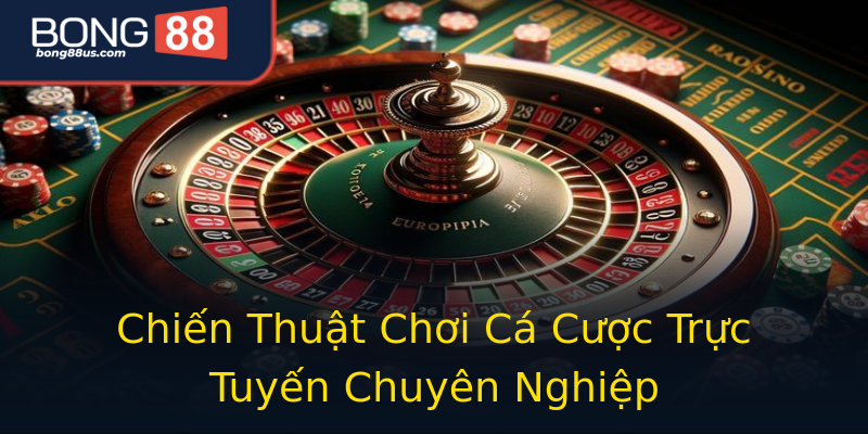 Chiến Thuật Chơi Cá Cược Trực Tuyến Chuyên Nghiệp Chiến Thuật Chơi Cá Cược Trực Tuyến Chuyên Nghiệp