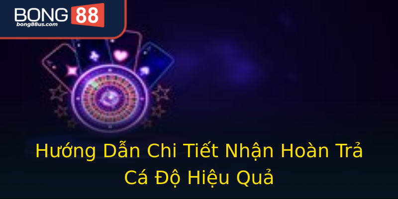 Hướng Dẫn Chi Tiết Nhận Hoàn Trả Cá Độ Hiệu Quả Hướng Dẫn Chi Tiết Nhận Hoàn Trả Cá Độ Hiệu Quả