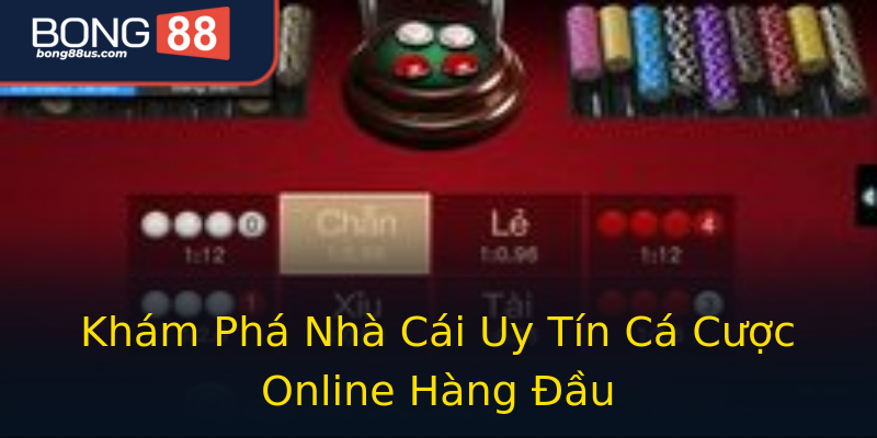 Khám Phá Nhà Cái Uy Tín Cá Cược Online Hàng Đầu