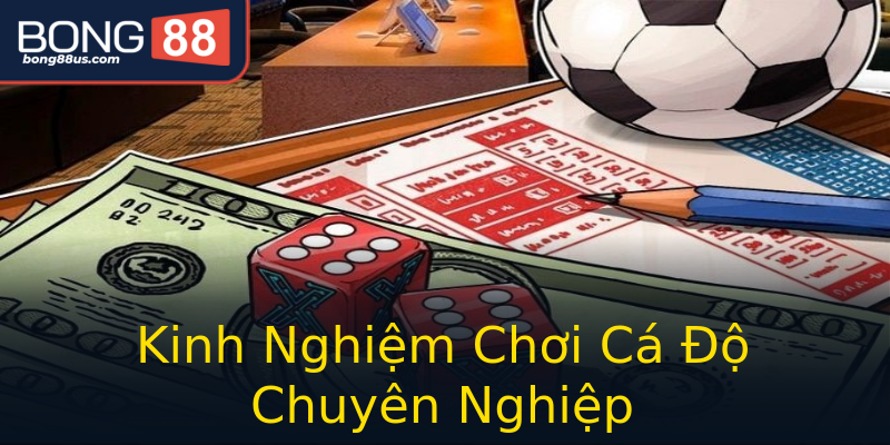 Kinh Nghiệm Chơi Cá Độ Chuyên Nghiệp Kinh Nghiệm Chơi Cá Độ Chuyên Nghiệp