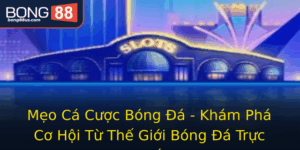 Meo Ca Cuoc Bong A Kham Pha Co Hoi Tu The Gioi Bong A Truc Tuyen 1