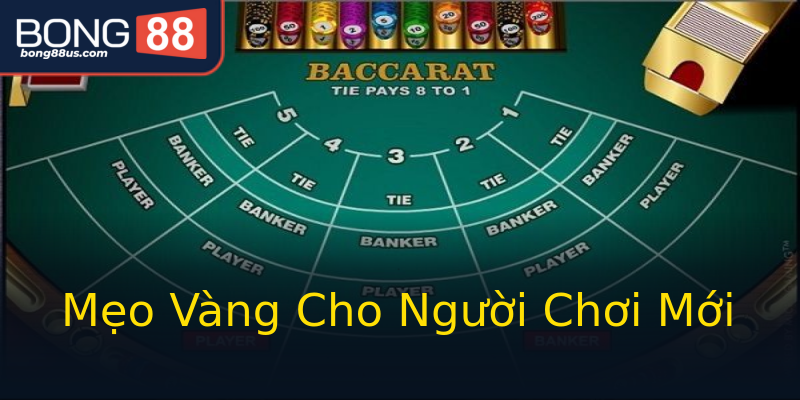 Mẹo Vàng Cho Người Chơi Mới Mẹo Vàng Cho Người Chơi Mới