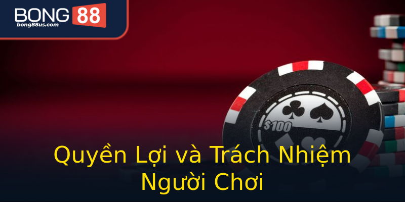 Quyền Lợi và Trách Nhiệm Người Chơi Quyền Lợi và Trách Nhiệm Người Chơi