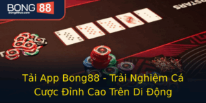 Tai App Bong88 Trai Nghiem Ca Cuoc Inh Cao Tren Di Ong