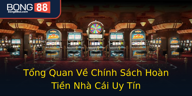 Tổng Quan Về Chính Sách Hoàn Tiền Nhà Cái Uy Tín Tổng Quan Về Chính Sách Hoàn Tiền Nhà Cái Uy Tín