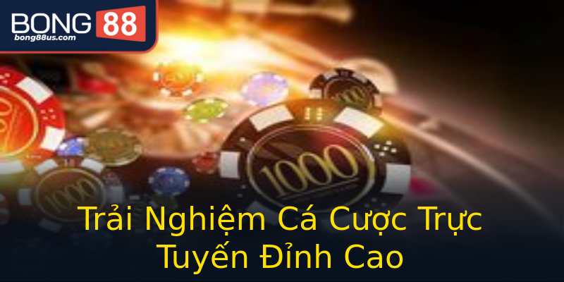 Trải Nghiệm Cá Cược Trực Tuyến Đỉnh Cao Trải Nghiệm Cá Cược Trực Tuyến Đỉnh Cao